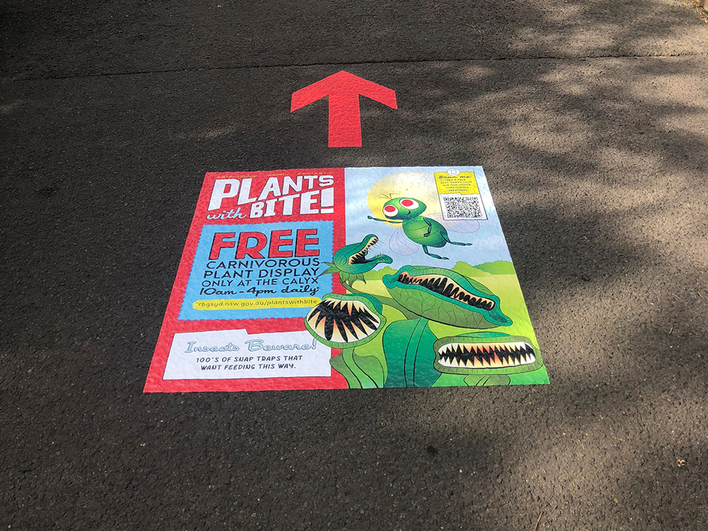 Wayfinding Floor Graphic